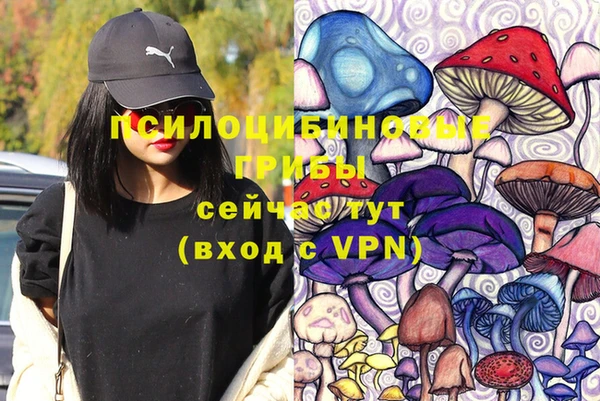 гашиш Богданович