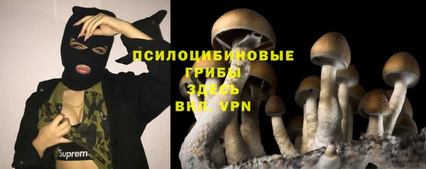 гашиш Богданович
