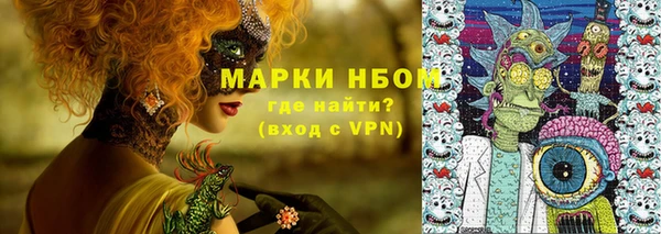 гашиш Богданович