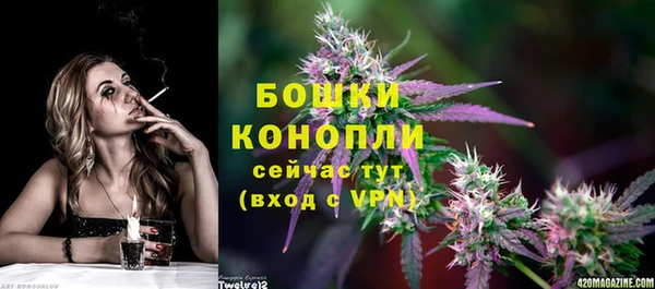 гашиш Богданович